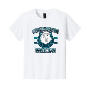 Gildan Youth Softstyle® T-Shirt Distressed