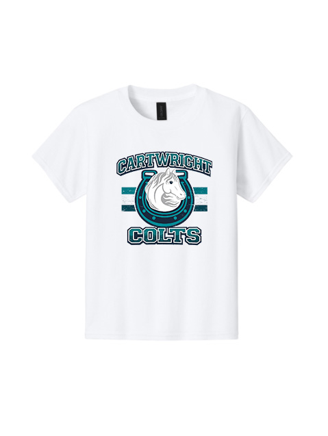 Gildan Youth Softstyle® T-Shirt Distressed