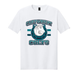 Gildan Softstyle® T-Shirt Distressed