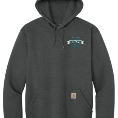 Carhartt® Rain Defender® Paxton Heavyweight Hooded Sweatshirt